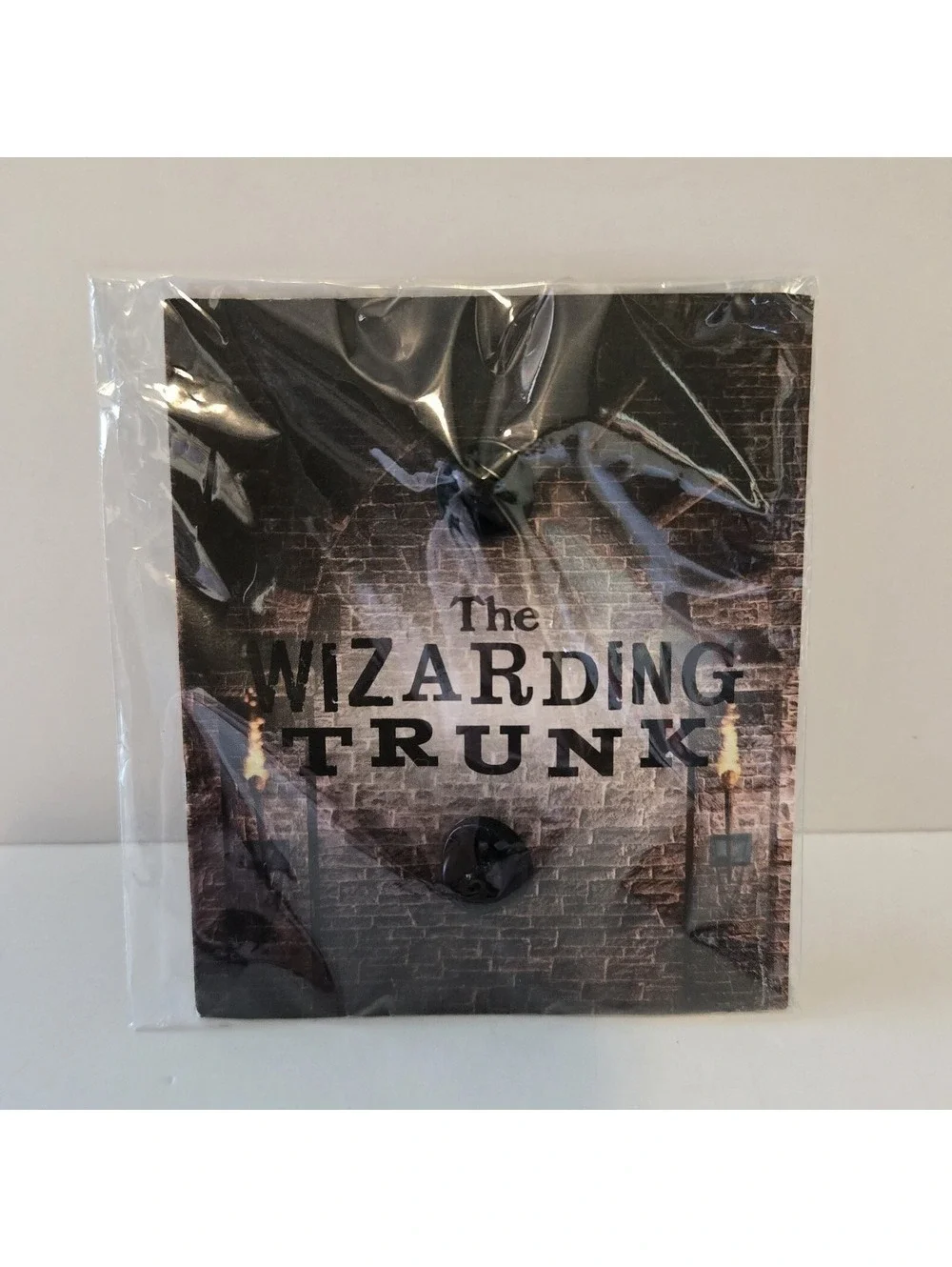 Harry Potter Wizarding Trunk Professor McGonagall Portrait Pin Metal Frame NIP